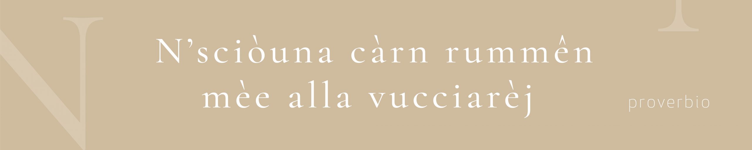 Proverbio - Carne